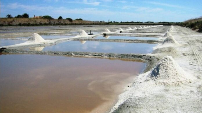 CAVIDEA: Producción de sal incrementó un 18% en el país durante el 2025